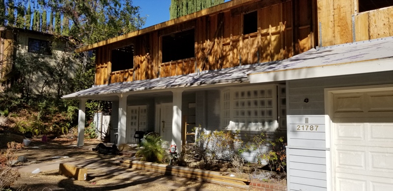 foundation